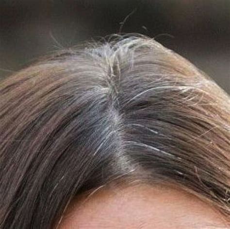 Kate Middleton Grey Hair | Kate Middleton Hair Color | Kate Middleton ...