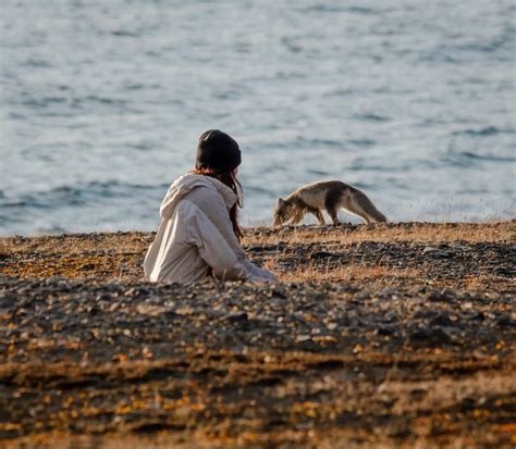 Image De Plage Avec Un Ours Polaire Qui Cache Quelque Chose Les