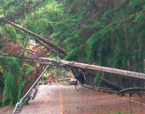 Caída de varios árboles en El Retiro colapsó el retorno por el Oriente