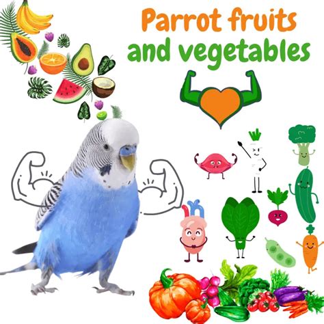 Parrot fruits and vegetables - What fruits and vegetables can parrots eat