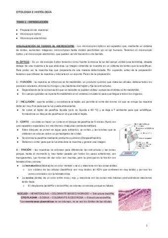 EXAMEN PRACTICAS DE CITOLOGIA E HISTOLOGIA Pdf