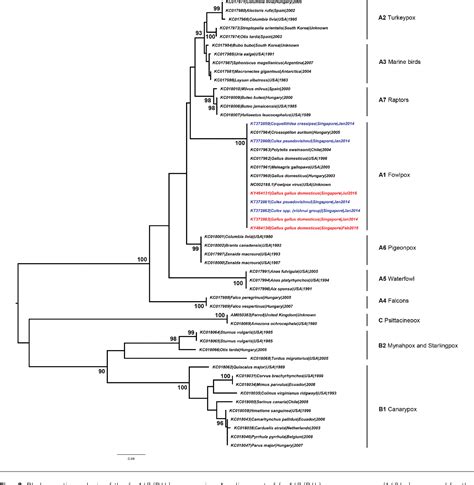 Figure 1 from Characterization of Fowlpox virus in chickens and bird ...