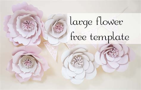 Giant Paper Flowers Free Template Paper Flower Template Paper Flower