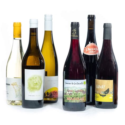 Low-Sugar Wines That Are Keto-Friendly & Still Crushable | StyleCaster