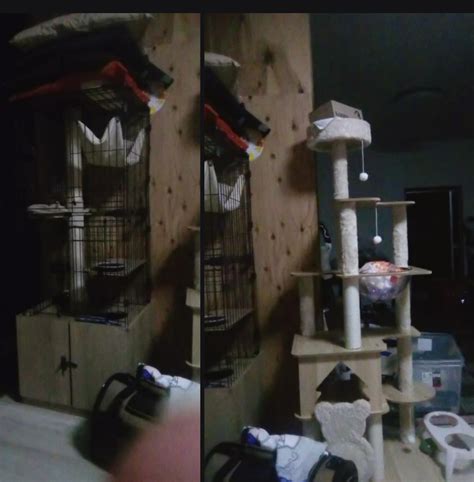 ”おっは～”ちょっとホッとしたわで | Reiri Suzukawa♥️(昔のAV女優ですが好きでやってた仕事じゃないしー)斜視と老眼の為 