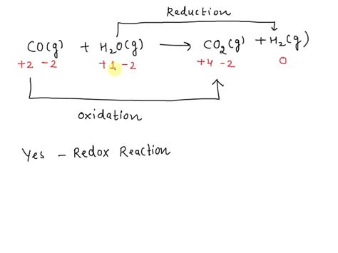 SOLVED Specify Which Of The Following Are Oxidation Reduction