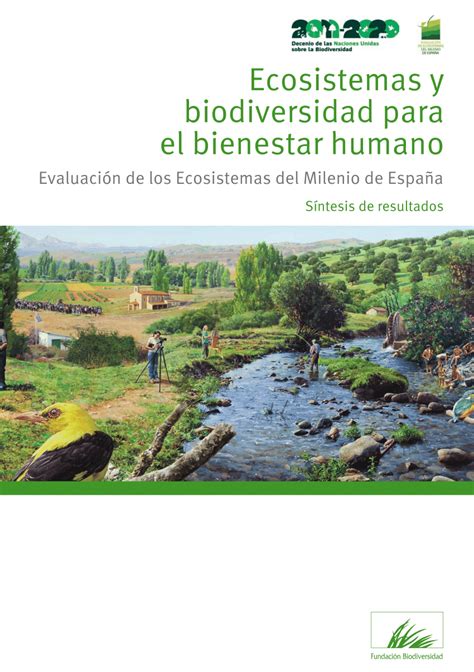 Ecosistemas Y Bienestar Humano S Ntesis De La Biodiversidad Biomas The Best Porn Website