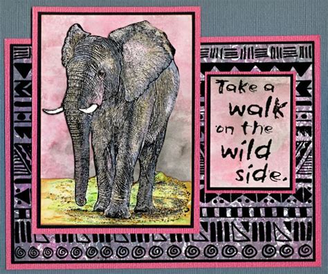 Elephant Sunrise Card By Helen Conolly Using Darkroom Door Wild Africa