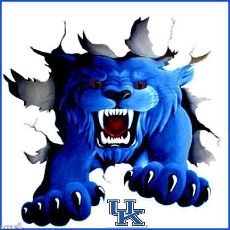 Kentucky Wildcats Clipart at GetDrawings | Free download