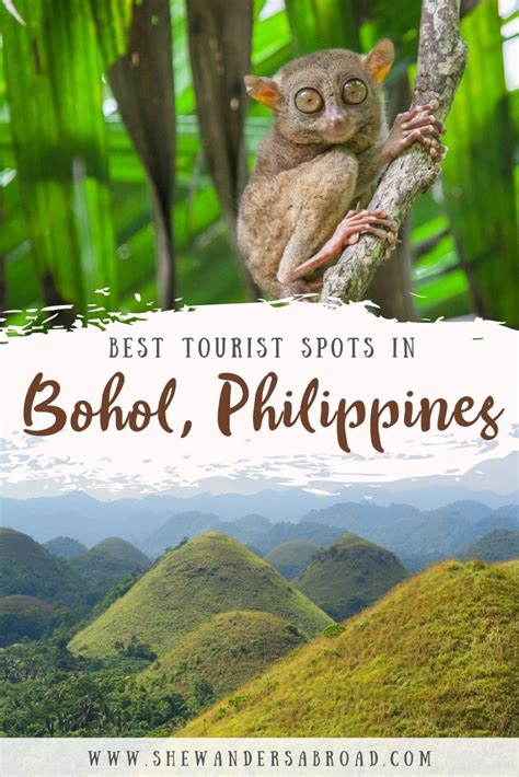 Best Tourist Spots In Bohol Bohol Island Guide Tourist Spots