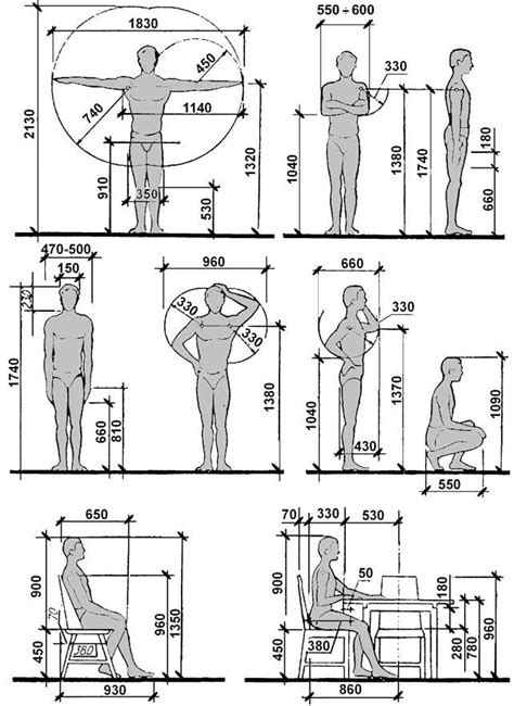 the height chart for a man's body, with measurements in different ...