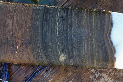 Crawford Lake Declared The Golden Spike For The Anthropocene