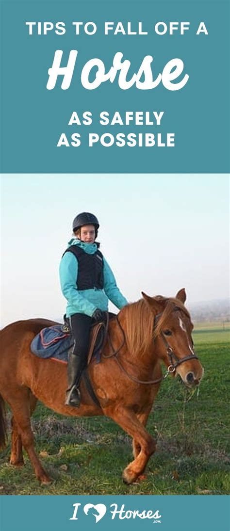 Tips To Fall From A Horse As Safely As Possible | Horses, Horseback ...