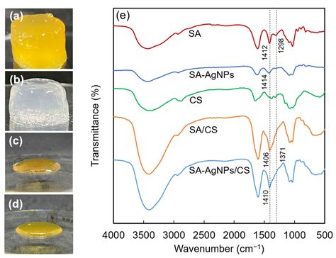 Jfb Free Full Text Microwave Assisted Incorporation Of Agnp Into Chitosan Alginate Hydrogels