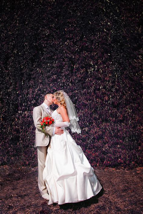 Weddings Flickr