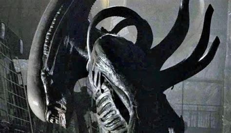 Alien: Romulus director Fede Alvarez talks Alien movies, Xenomorphs and ...