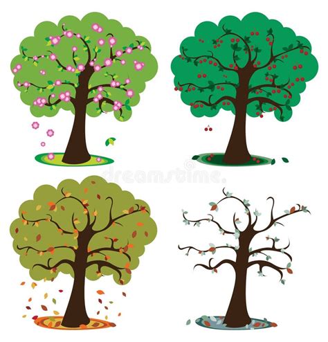 Four Seasons Tree Clip Art