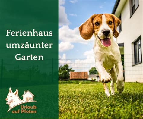 Ferienh User Mit Hund Urlaub Auf Pfoten