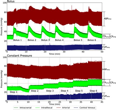 Visualization Of How Reactions Were Calculated During Bolus Infusions