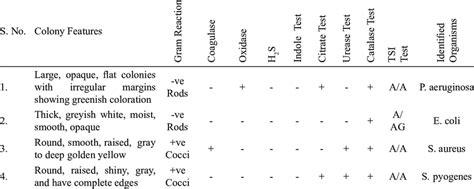 Colony Features Gram Stain Reaction And Biochemical Tests For