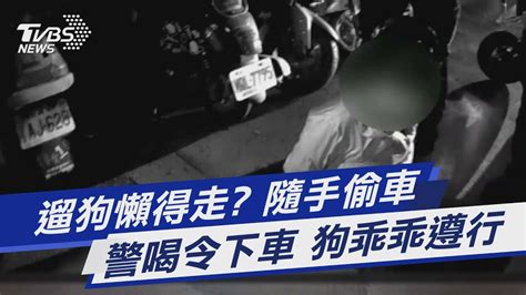 遛狗懶得走 隨手偷車 警喝令下車 狗乖乖遵行｜tvbs新聞 Tvbsnews01 Youtube