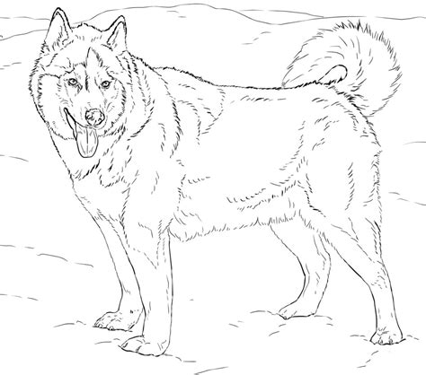 Siberian Husky Puppies Coloring Pages