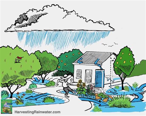 Rain water Harvesting Rainwater - HeroFilters