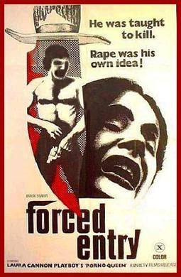 Tastedive Movies Like Forced Entry