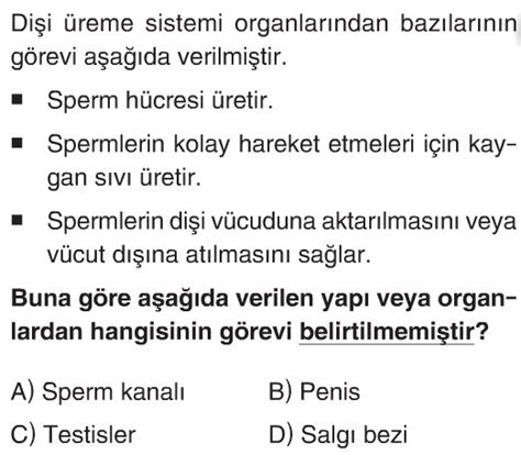 İnsanda Üreme Büyüme ve Gelişme Test Çöz 7 Sınıf Fen Bilimleri Testleri