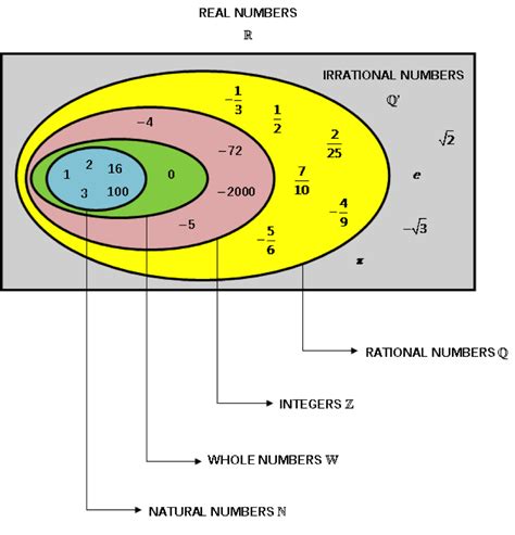 Real And Integer Numbers