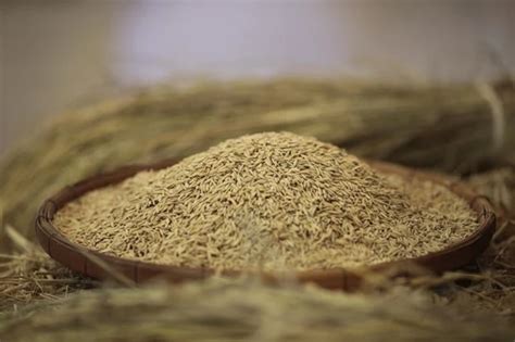 Thailands Rice Exports Projected To Grow Almost Percent This Year