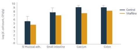 Competitive exclusion of E. coli improves intestinal health ...