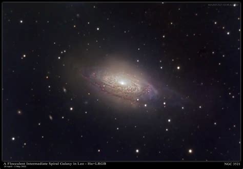 Flocculent Intermediate Spiral Galaxy in Leo - NGC3521 - Imaging - Deep ...