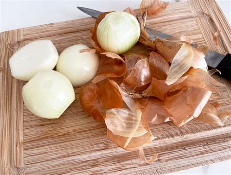 Zwiebelschalen einfach in Dünger verwandeln myHOMEBOOK