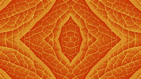 patterns stock  images  backgrounds