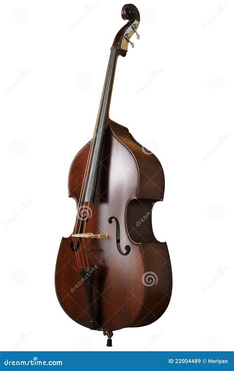 Contrabass Royalty Free Stock Images Image 22004489