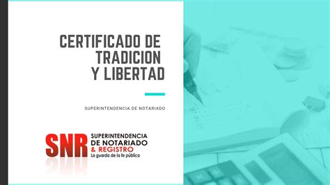 Grupo Oikos qué Es El Certificado De Tradición Y Libertad Y Por Qué