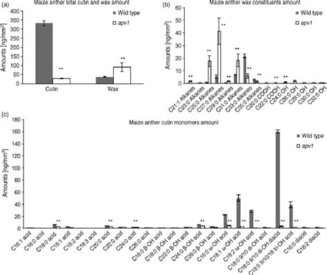 Analysis Of Anther Wax And Cutin Monomers In Wild Type And The Apv1