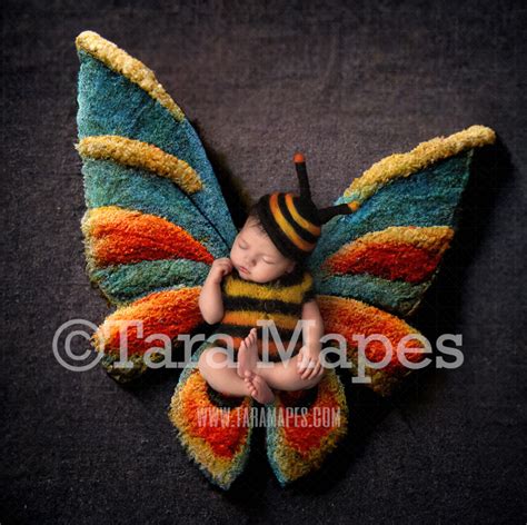 Needle Felted Butterfly Newborn Digital Backdrop Needle Felt