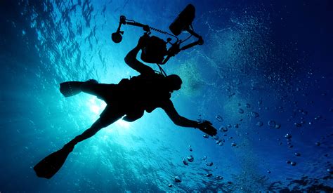 Silhouette Of Person Doing Scuba Diving HD Wallpaper Wallpaper Flare