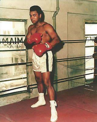 MUHAMMAD ALI 8X10 PHOTO BOXING PICTURE COLOR FULL STANCE POSE IN GYM | eBay