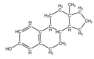 Practice midterm 1 Flashcards | Quizlet
