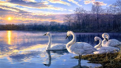 Pintura Arte Lago De Los Cisnes Atardecer Paisaje Fondos De Pantalla