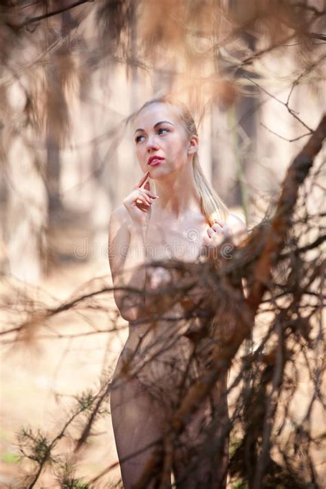 Beautiful Naked Blonde In Pine Forest Near A Branch Stock Image Image Of Seasons Long