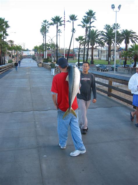 Balboa Pier - Page 8 of 14 - Pier Fishing in California