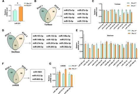 Depletion Of Prx Ii Inhibits Stat Signaling Pathway By Regulating