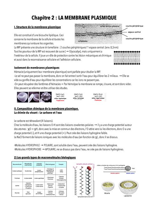 La Membrane Plasmique Chapitre 2 La Membrane Plasmique I Structure