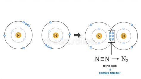 Nitrogen Molecule Features A Triple Covalent Bond Sharing Three Pairs