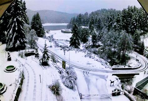 Torna La Dama Bianca In Calabria La Neve Scende Anche A Bassa Quota