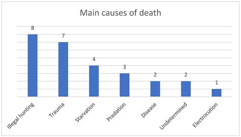 Threats To The Reintroduction Program Of The Northern Bald Ibis